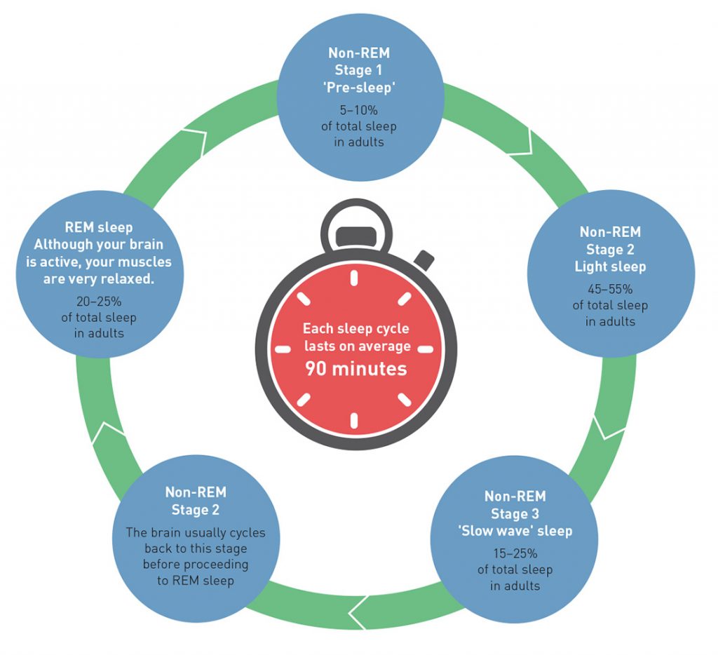 How Many Sleep Cycles Are There Per Night