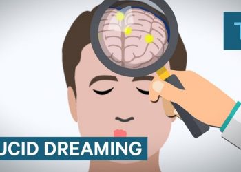 How Lucid Dreaming Works