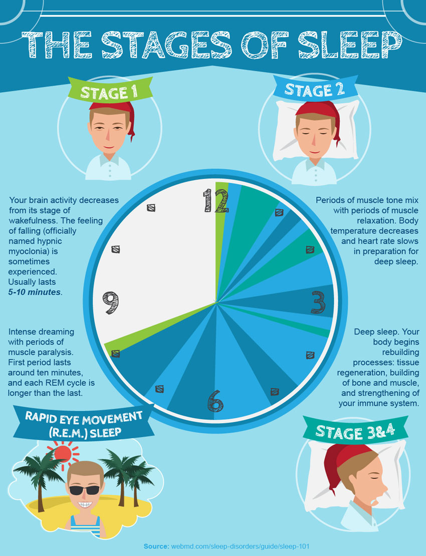 States Of The Sleep How Does Natural Sleep Cycle Help You Sleep Better