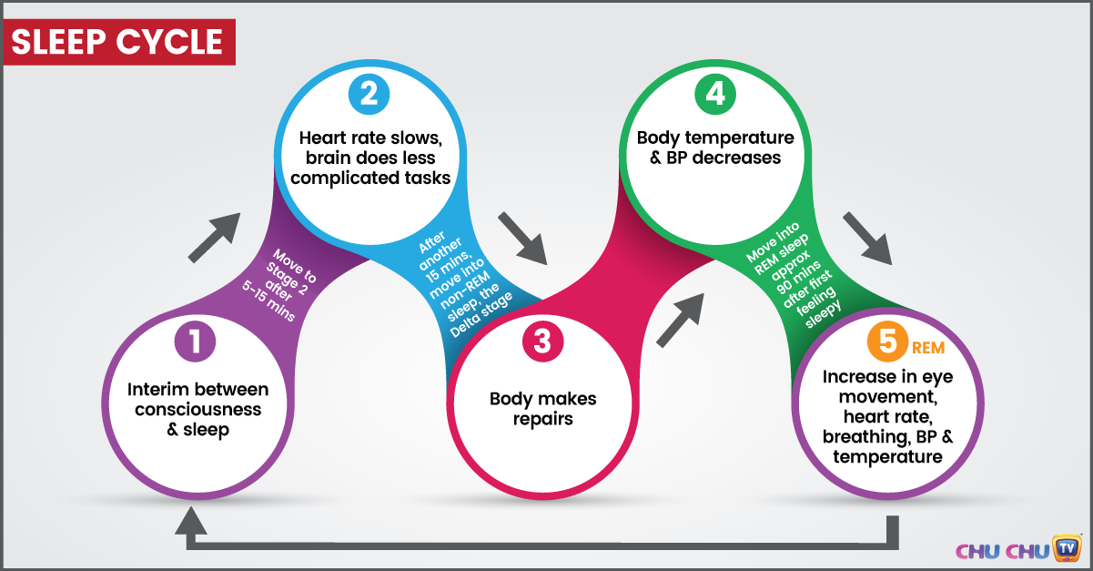 States of the Sleep - How does Natural Sleep Cycle help you sleep better!